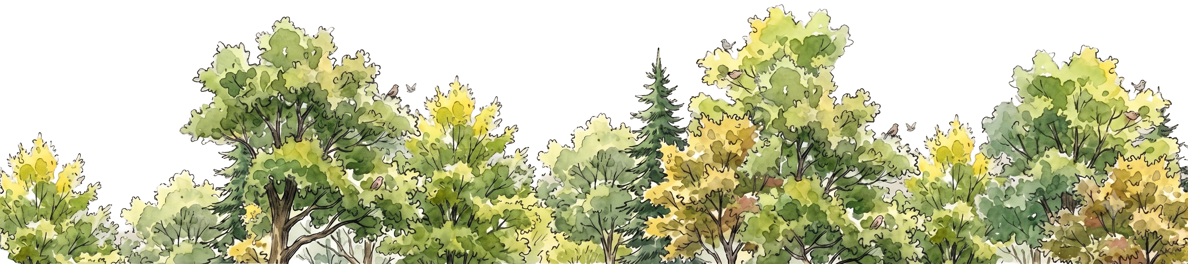 Footer Watercolor Forest